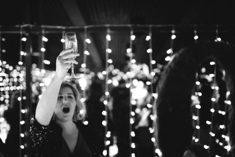 BRINDIS 2